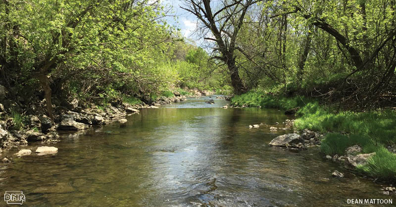 Work to improve water quality in Dubuque's Catfish Creek has brought together a community and improved trout fishing | Iowa DNR